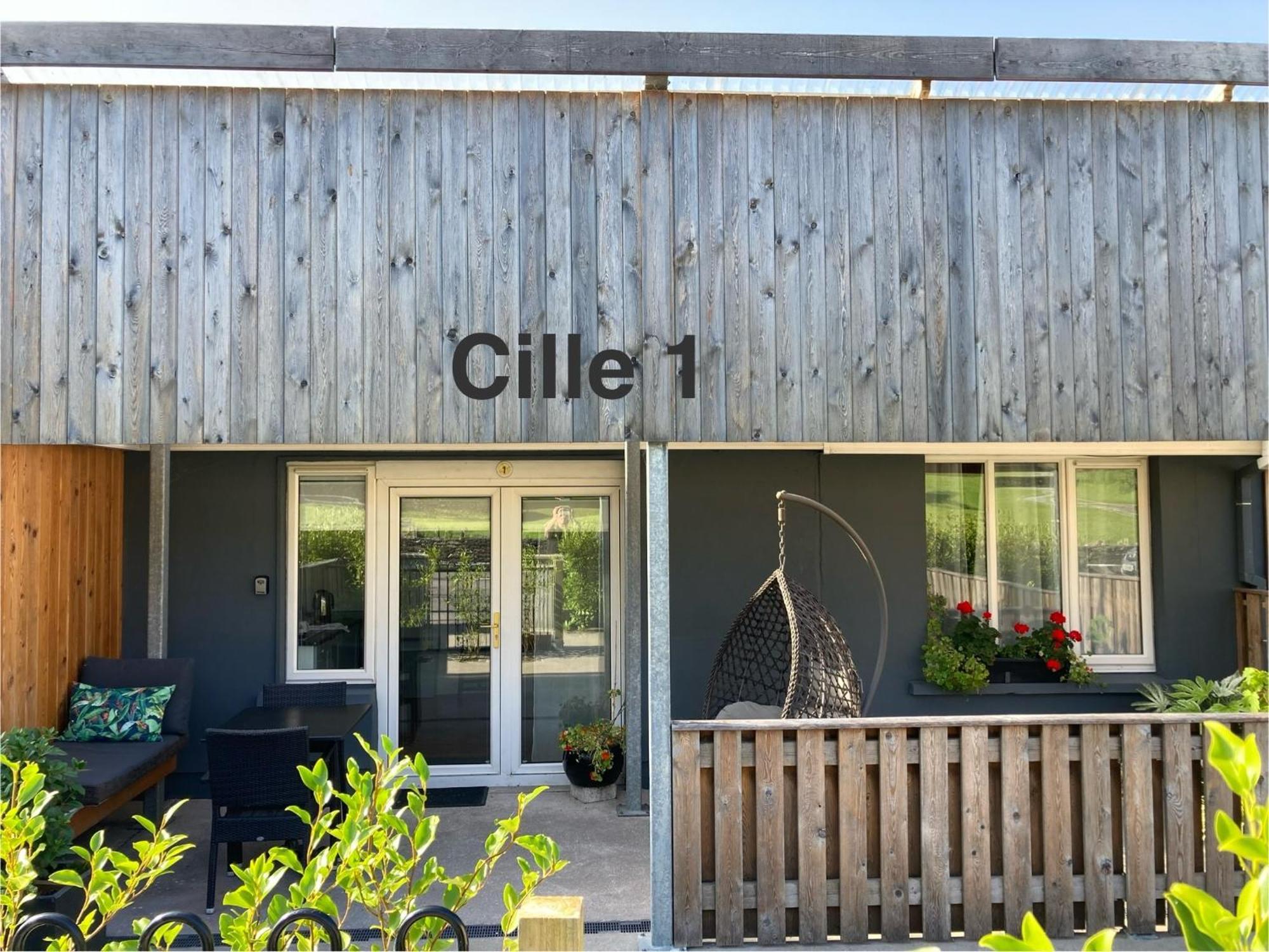 Cille Apartments, Ballyferriter Village Extérieur photo